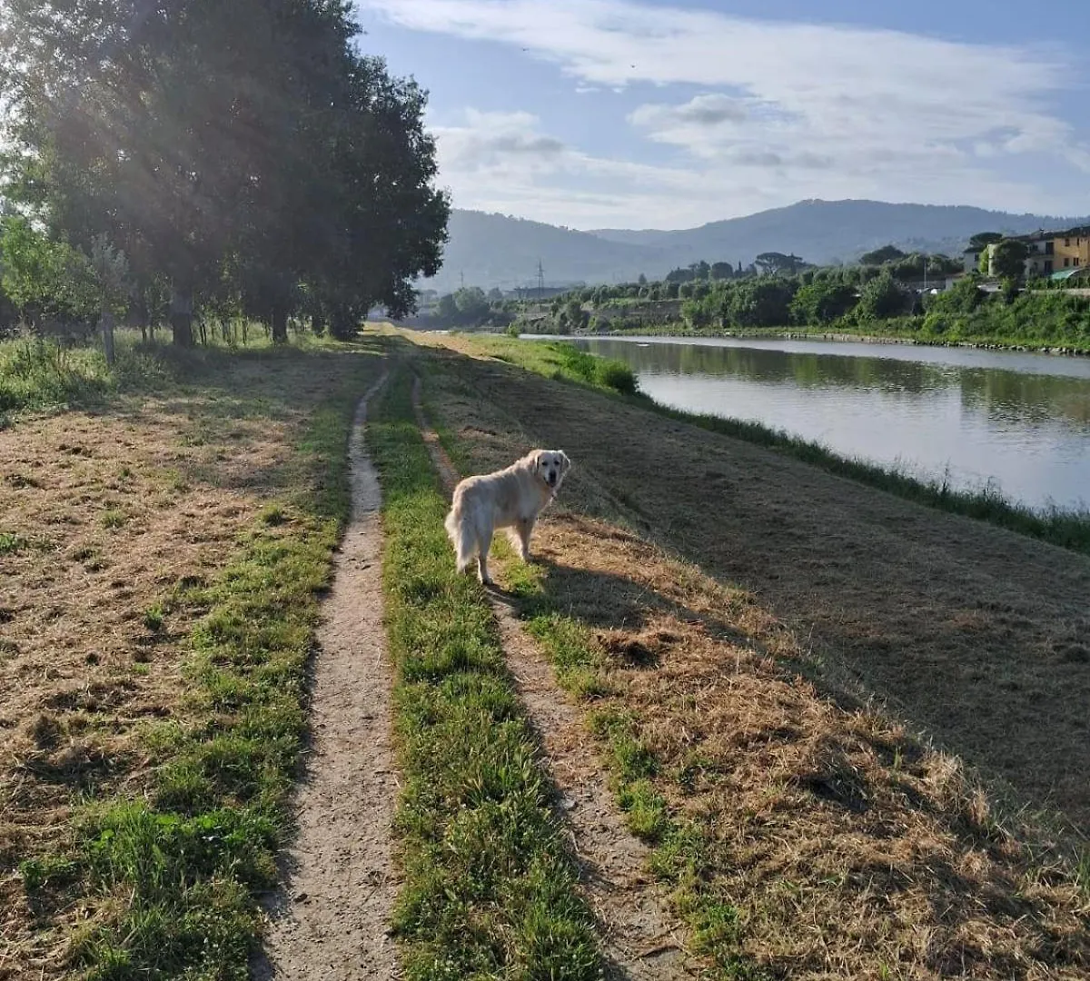 Comodo Appartamento Con 2 Giardini E Vasca Idromassaggio Florence 0*,  Italy